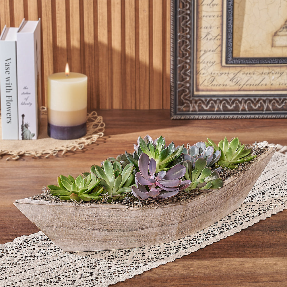 Moss Park Succulent Boat Garden Planter – how the gift is presented