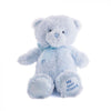 Blue Best Friend Baby Plush Bear from Montreal Baskets - Plush Gift - Montreal Delivery.