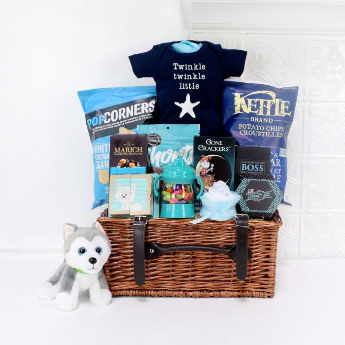 Newborn Puppy Plush Gift Basket – how the gift is presented