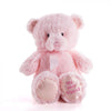 "Pink Best Friend Baby Plush Bear" New Baby Plush Bear from Montreal Baskets - Montreal Delivery