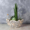 The St. Lawrence Potted Succulent Garden is a wonderful gift that will brighten up any space and add some life. This rustic garden features a variety of succulents as well as other tropical plants in a decorative ceramic pot from Montreal Baskets - Montreal Delivery