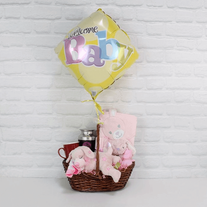 Welcome Newborn Baby Girl Gift Basket Montreal Baskets