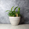 "Woodbine Tropical Plant Garden" A Potted Tropical Plant Montreal Baskets - Montreal Delivery
